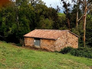 House in Barrio santa maría de cayón 21. Cabaña típica y gran finca cerca de sarón