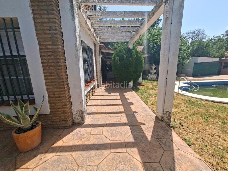 Foto 4ee36f31-aead-47ee-b3c1-b5c29e00d5db. Chalet en avenida las camelias 15 bonito chalet de una planta en Espartinas