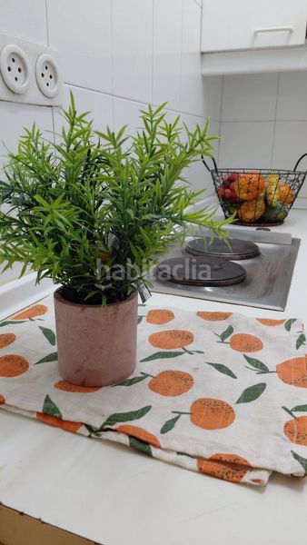 Foto 76b24ecc-a33c-4f08-ae35-4218b0dbada3. Apartament a Concepción Madrid