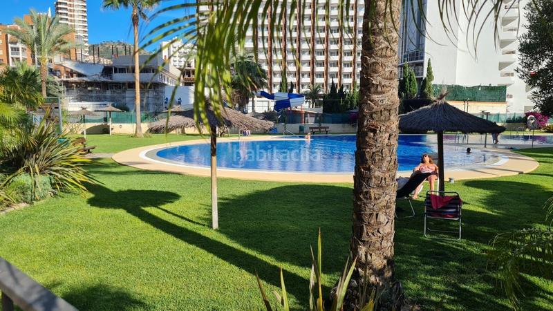 Foto 6157db34-b1e7-4f8e-9678-cfe223eebbdb. Piccolo appartamento con riscaldamento piscina in Benidorm