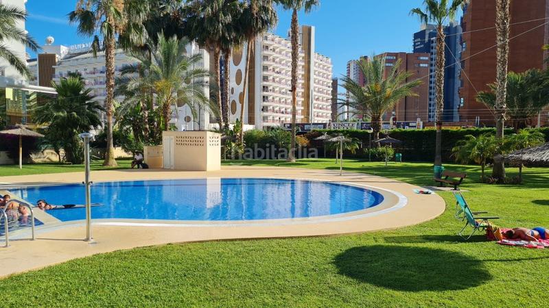 Foto ba0daf15-df40-4884-a5ee-191abc7eeaf6. Piccolo appartamento con riscaldamento piscina in Benidorm