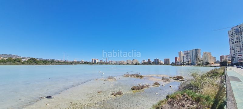 Foto 40138489-6670-4e32-9b0e-76e413cc8fac. Apartament a luxemburgo 1 a Playa Arenal - Bol Calp