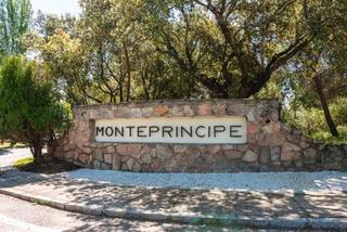 Terreny residencial a Urbanización Este-Montepríncipe. Parcela urbanización montepríncipe