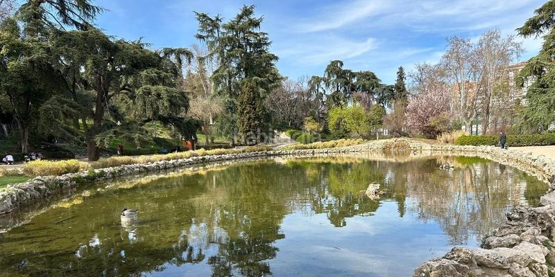 Foto e895d754-04a6-4009-9287-2e6cf150ea90. Piso excelente oportunidadpiso en venta zona Goya en Madrid