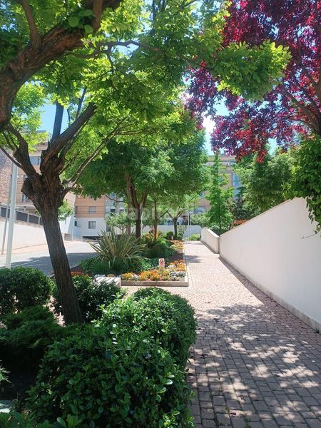 Foto 2c7f5db3-5c7d-4225-9c44-5a4584d979f1. Appartamento con riscaldamento parcheggio piscina in Madrid