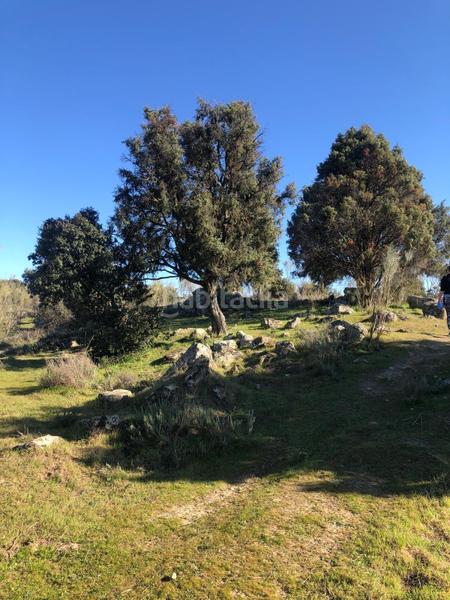 Foto 146bb8c3-8c60-416a-aa9f-1d983775e240. Propriété dans Colmenarejo