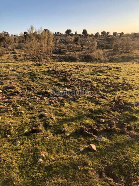 Foto 54294677-36a7-4a9c-8e7c-181e09185bc7. Propriété dans Colmenarejo