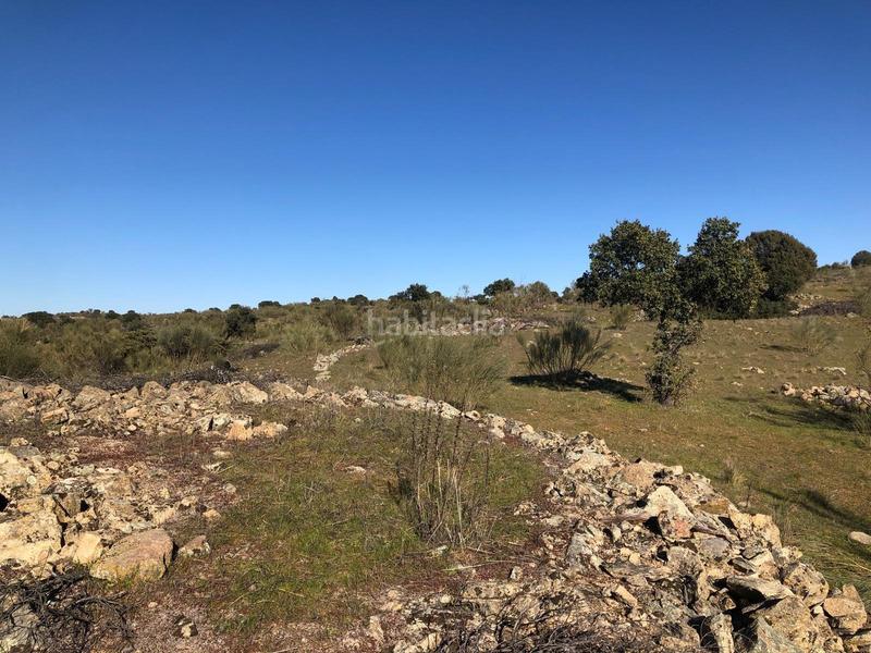 Foto ba8d15a5-9408-4584-893f-3639c2b37fa1. Propriété dans Colmenarejo