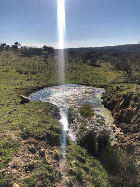 Foto ef4f0852-70cd-4dd4-a728-36e074e9d630. Propriété dans Colmenarejo