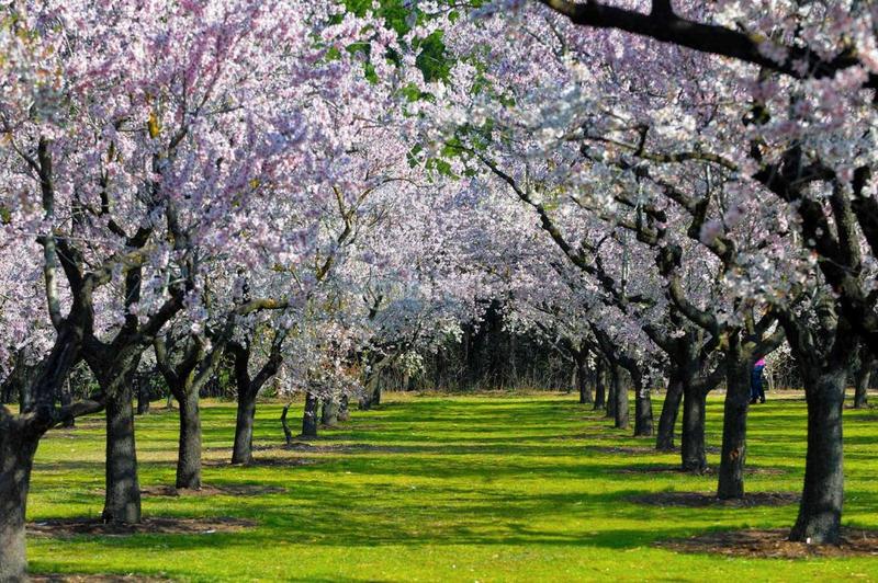 Foto d4e0522d-678f-4661-b948-3efcdd4bab04. Bureau dans calle de miguel yuste 23 dans Simancas Madrid