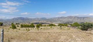 Finca rústica a Elda. Terreno rústico de 40.000 m2 de parcela en camara con agua en el