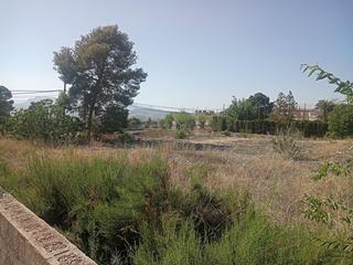 Terreny residencial a Petrer. Se venden parcelas en petrer  zona de salinetas 840 m2 cada una