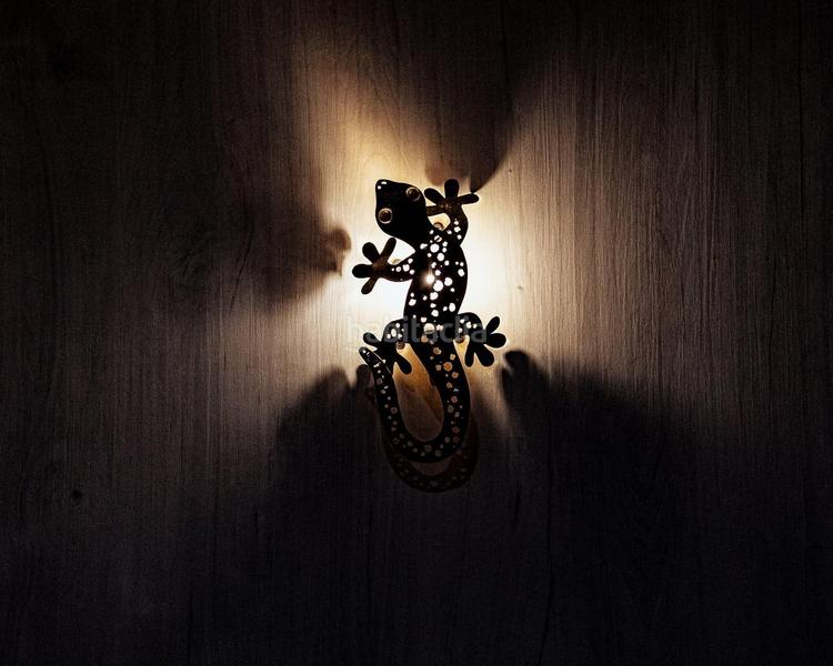 Foto 723d75df-e6db-4d28-9084-69c2c8db5085. Affitto monolocale in Plaza de Toros-Avenida Chapí-Trinquete Elda