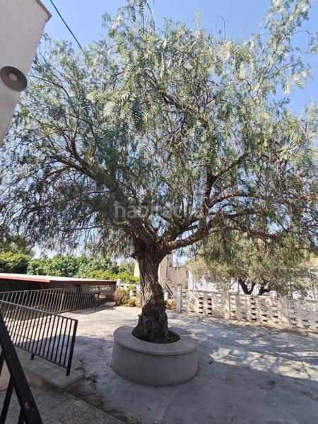 Foto 2d5c11d8-8da1-4101-91f8-c55c3e80f5cd. Casa chalet independiente campo alto en Campo Alto-Club de Campo Elda