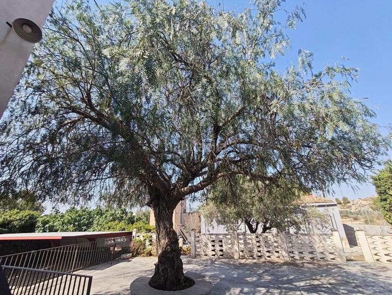 Foto 955ba7e1-a7df-4bb0-bd6f-fde261d6be43. Casa chalet independiente campo alto en Campo Alto-Club de Campo Elda