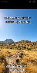 Xalet a Petrer. Campo en petrer de 161 m2 y parcela de 800 m2