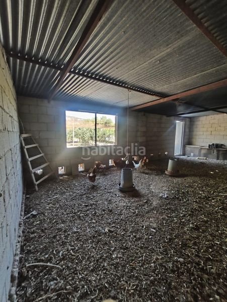 Foto cd051f42-7b86-4ce6-8b1d-c588fb597cff. Casa amb aparcament piscina a Petrer