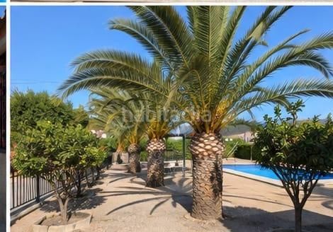Foto f5e61f4f-5dea-4c61-9b06-c77bba951af4. Masia amb piscina a Sax