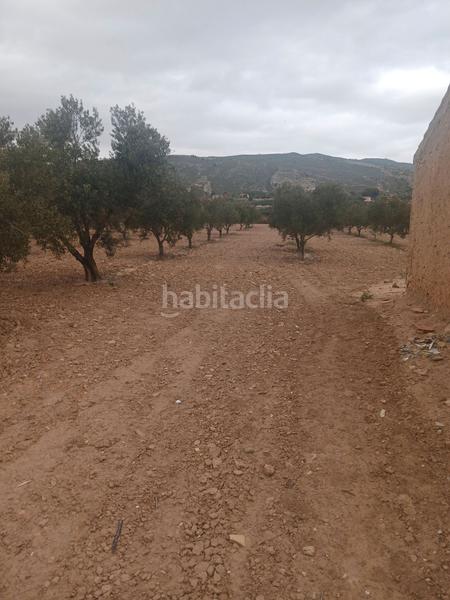 Foto 2e280e11-8b4a-4649-852b-c34e5806809f. Finca rústica  con almacen en El Rabal Villena