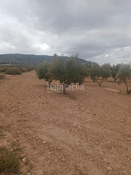 Foto ff8339b3-91ab-48d5-b59a-1f5a1690765e. Finca rústica  con almacen en El Rabal Villena