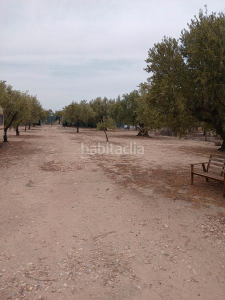 Foto 5b79dacd-ce8d-4e96-ab80-99e09f207753. Fondo rustico in Biar