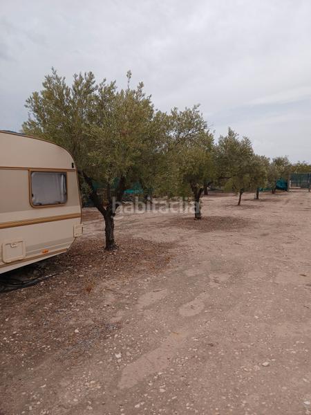 Foto 6043a639-b193-4f42-88bd-403e1d7649b8. Fondo rustico in Biar