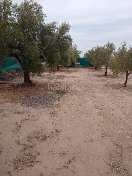 Foto 23f44e3d-6aad-48bc-acec-08672c9c36dc. Landgut in Biar