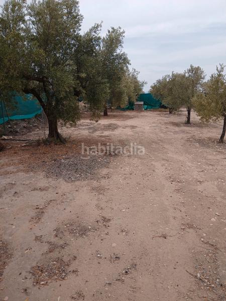 Foto c364e474-ef1f-407b-9c79-279047c9a000. Landgut in Biar