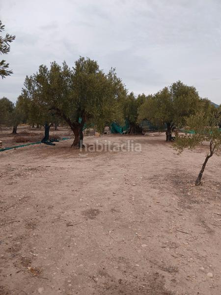 Foto e00469ae-c5d7-4268-a961-90ff615ca744. Landgut in Biar