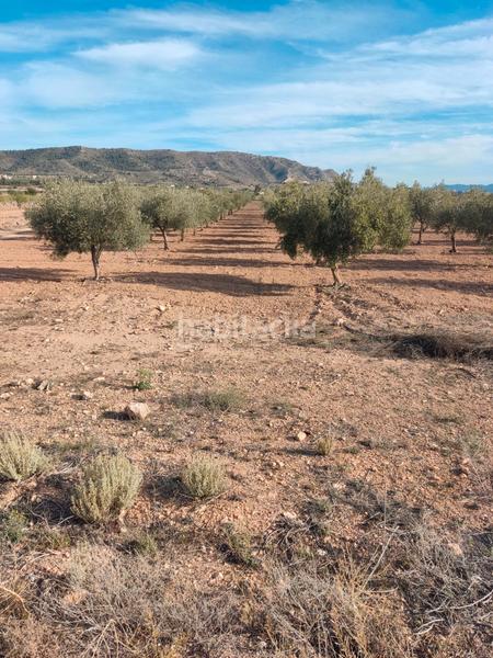 Foto e4d649dd-1197-4bc7-a676-ca5292c764fe. Fondo rustico in n/a in Las Cruces Villena