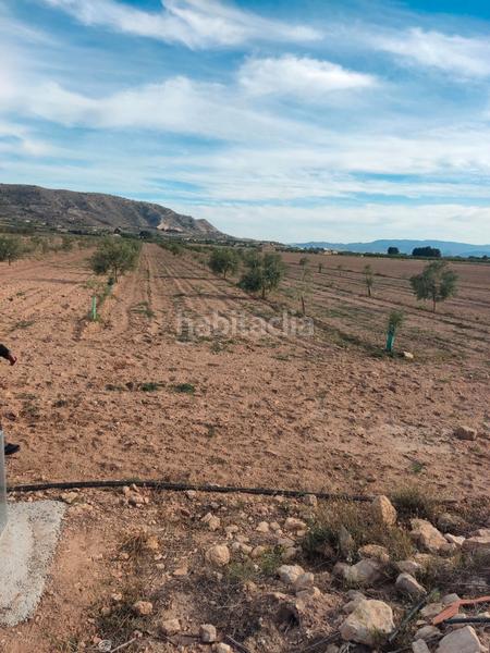Foto ddeae619-edd5-48de-a9f1-54ca4caf931d. Propriété dans n/a dans Las Cruces Villena