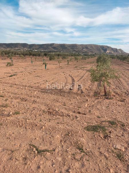 Foto 509668b4-87f0-43fb-ab0a-50e9acc3a3fb. Finca rústica a n/a a Las Cruces Villena