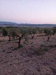 Finca r�stica en Biar. Fabulosa finca recreo