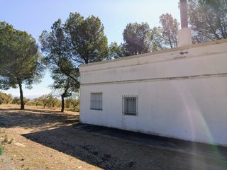 Chalet in Cañada. Finca maravillosa