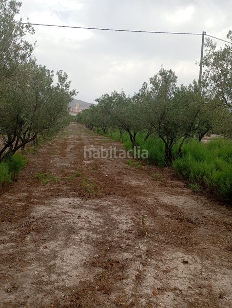 Foto 08d0647f-fbdd-4196-ae1b-da077b2ec0a2. Finca rústica a Las Virtudes Villena