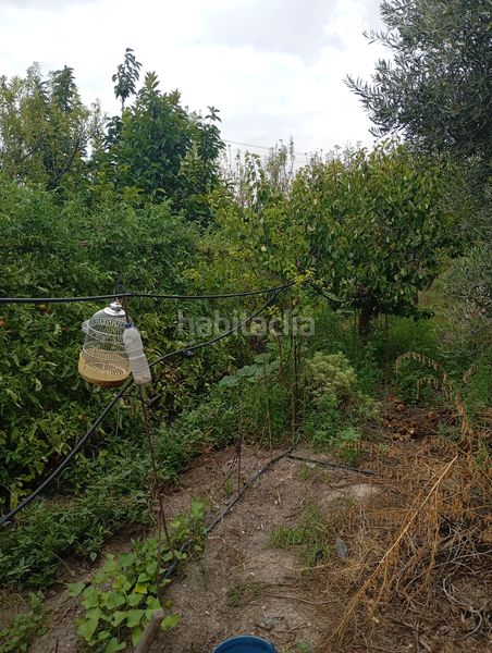 Foto 89dd1c78-37e9-465f-a958-b1dc20862ab2. Finca rústica a Las Virtudes Villena