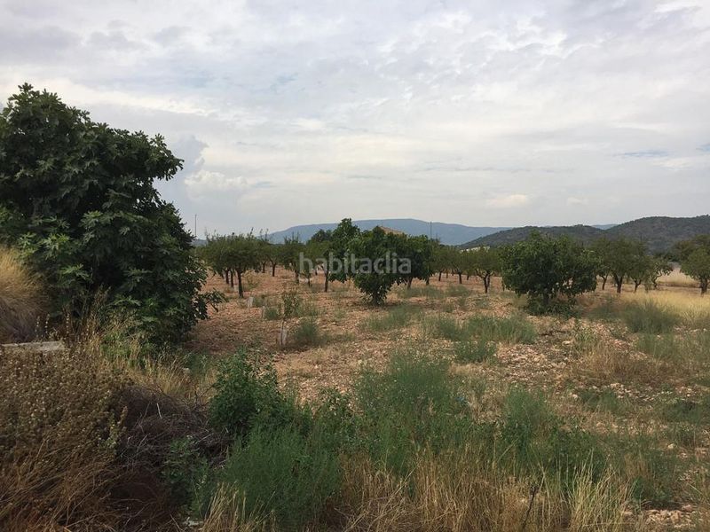 Foto 037665de-dda5-4d18-9686-694196511b8a. Casa a Monòver