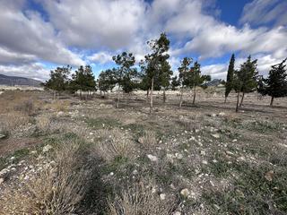 Terreno residenziale in Salinas