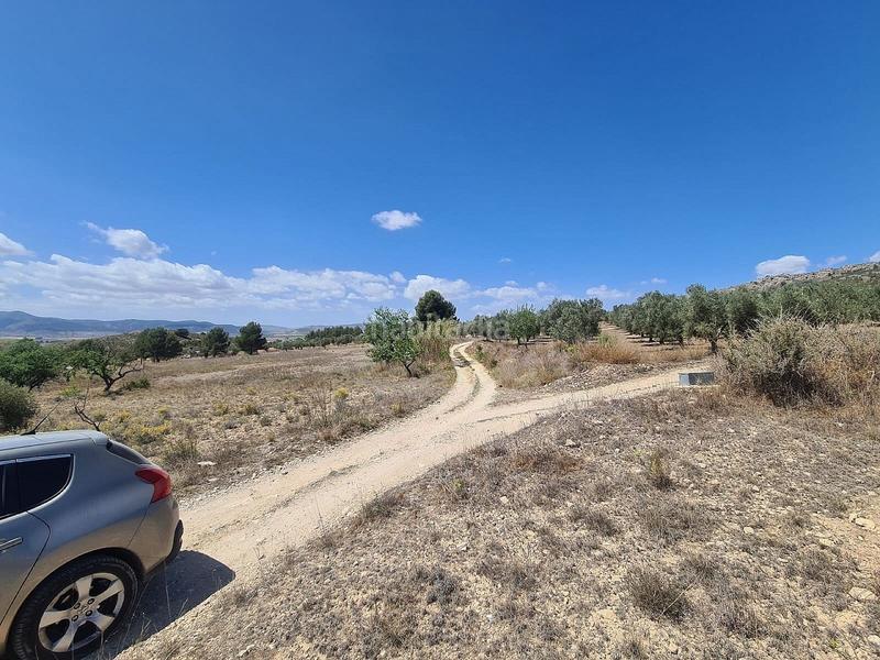 Foto cd7508b6-68f9-4f4d-a1ad-6f4bd30e1f1f. Terreno residencial en Las Tiesas Villena