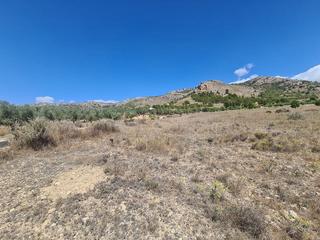 Terreny residencial a Las Tiesas