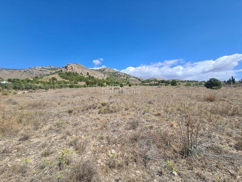 Foto f89e00a7-4b92-4c07-9748-4feefc614a20. Terreno residencial en Las Tiesas Villena