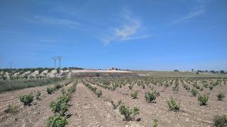 Casa a Jumilla