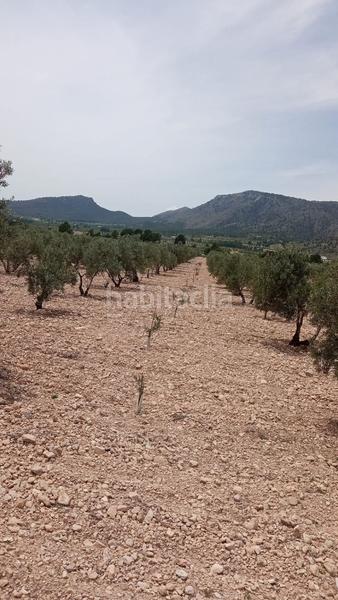 Foto 0775159a-f76a-4293-9139-cb73e0c89702. Terreno residencial en Salinas