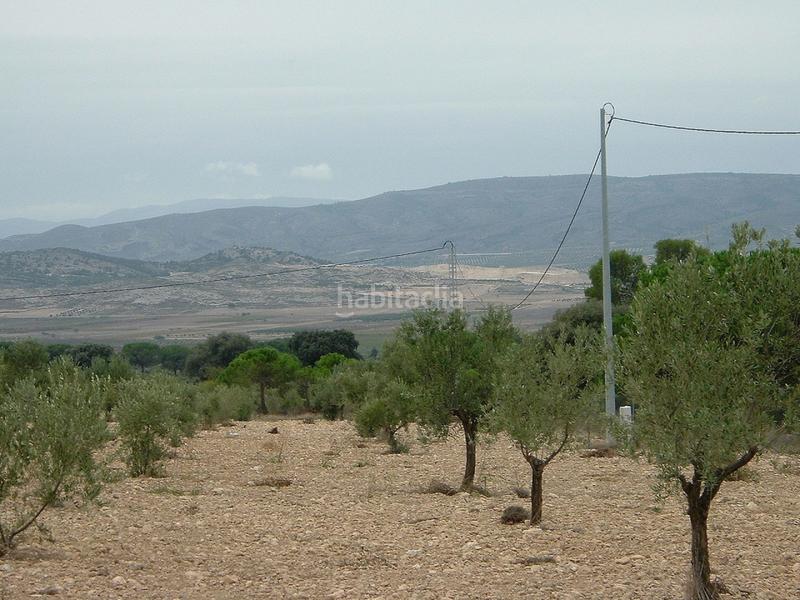 Foto cf75d160-bfea-4016-92f1-979f6bcb4eb1. Terreno residenziale in Biar