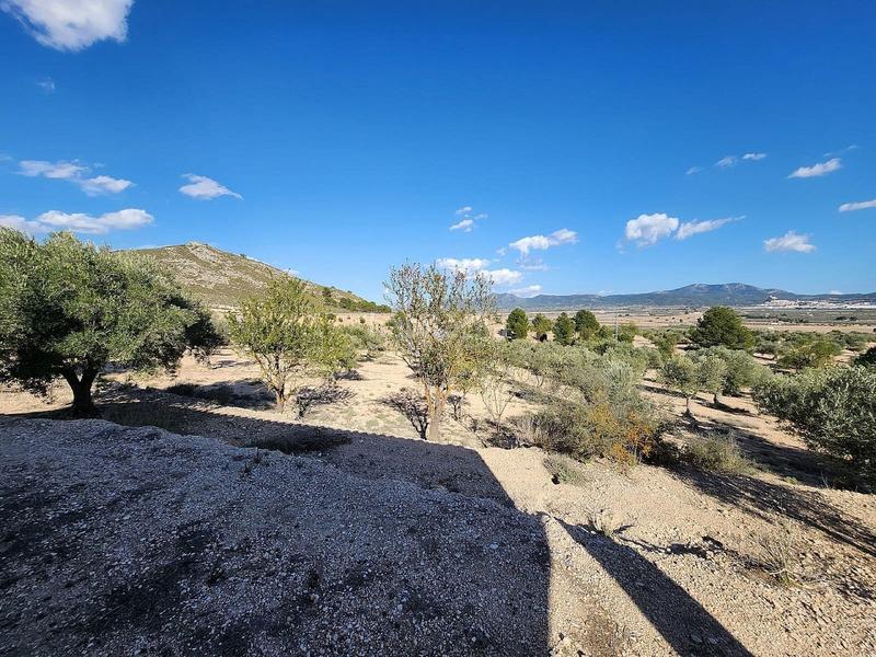 Foto 6c1aec80-fe10-4baa-97d0-0f0fcd69014e. Bauernhof in San Francisco Villena