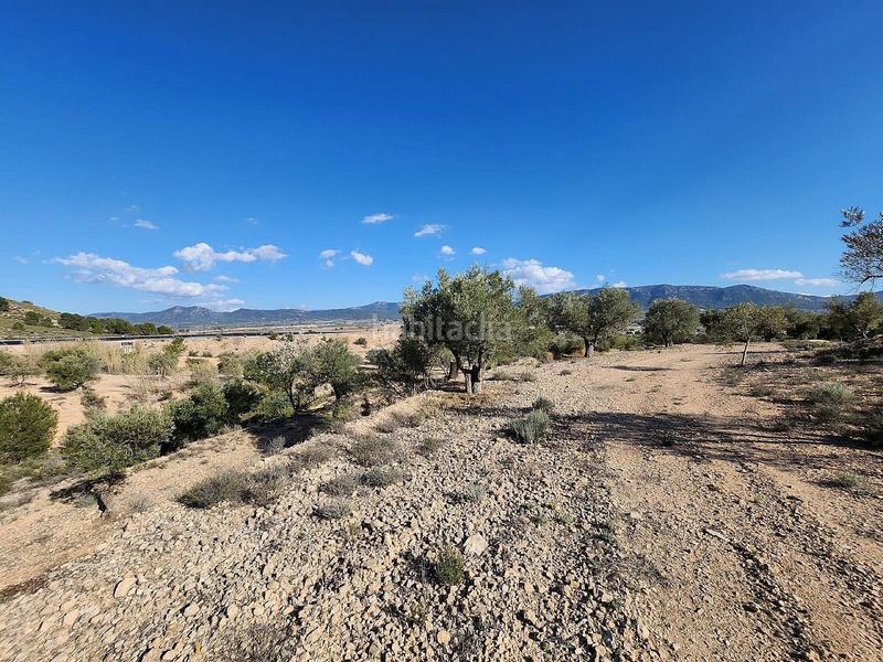 Foto 5352ff7f-9473-4975-a67e-5925428a40c4. Casale in San Francisco Villena