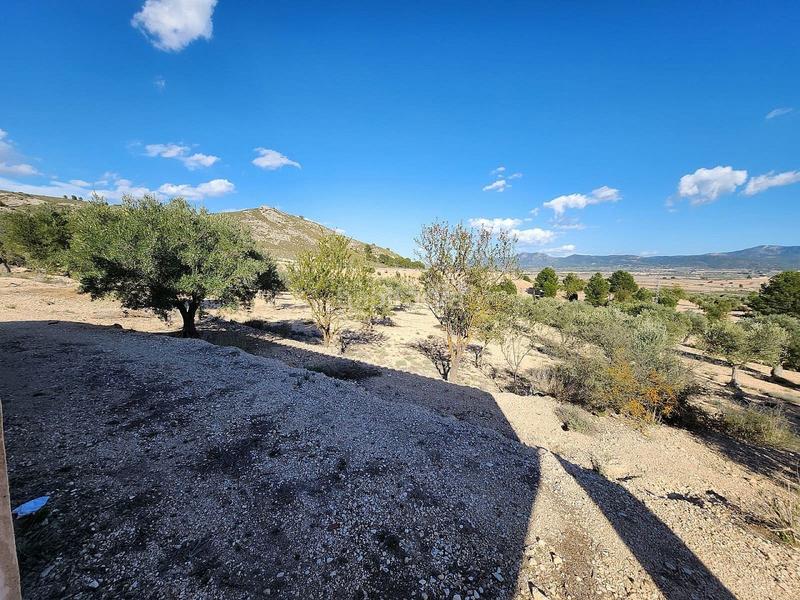 Foto 678f2425-ba3a-4f9e-a691-ef2c4f453076. Mas dans San Francisco Villena