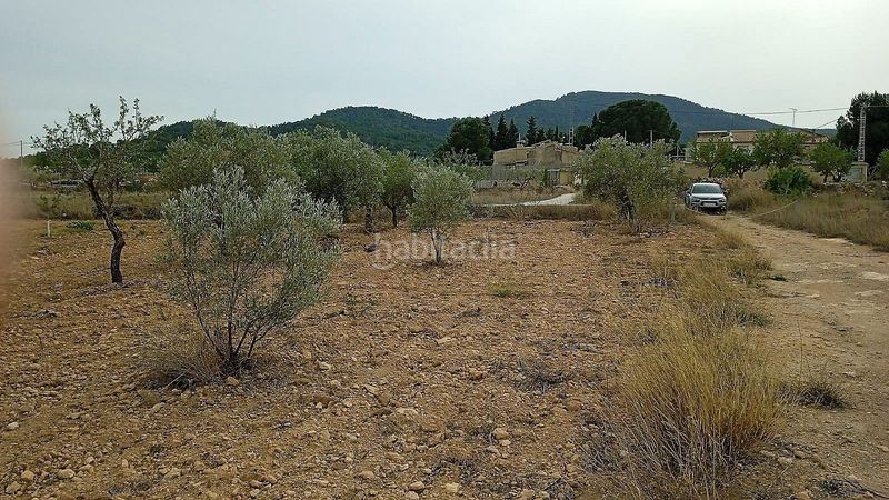 Foto ce94face-46ac-477a-8580-ede83c9ce0c2. Terreny residencial a Monòver
