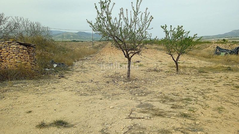 Foto d6f394a1-f344-4436-80b0-526c2a72b24e. Terreny residencial a Monòver
