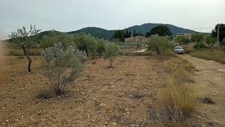Residential Plot in Monòver